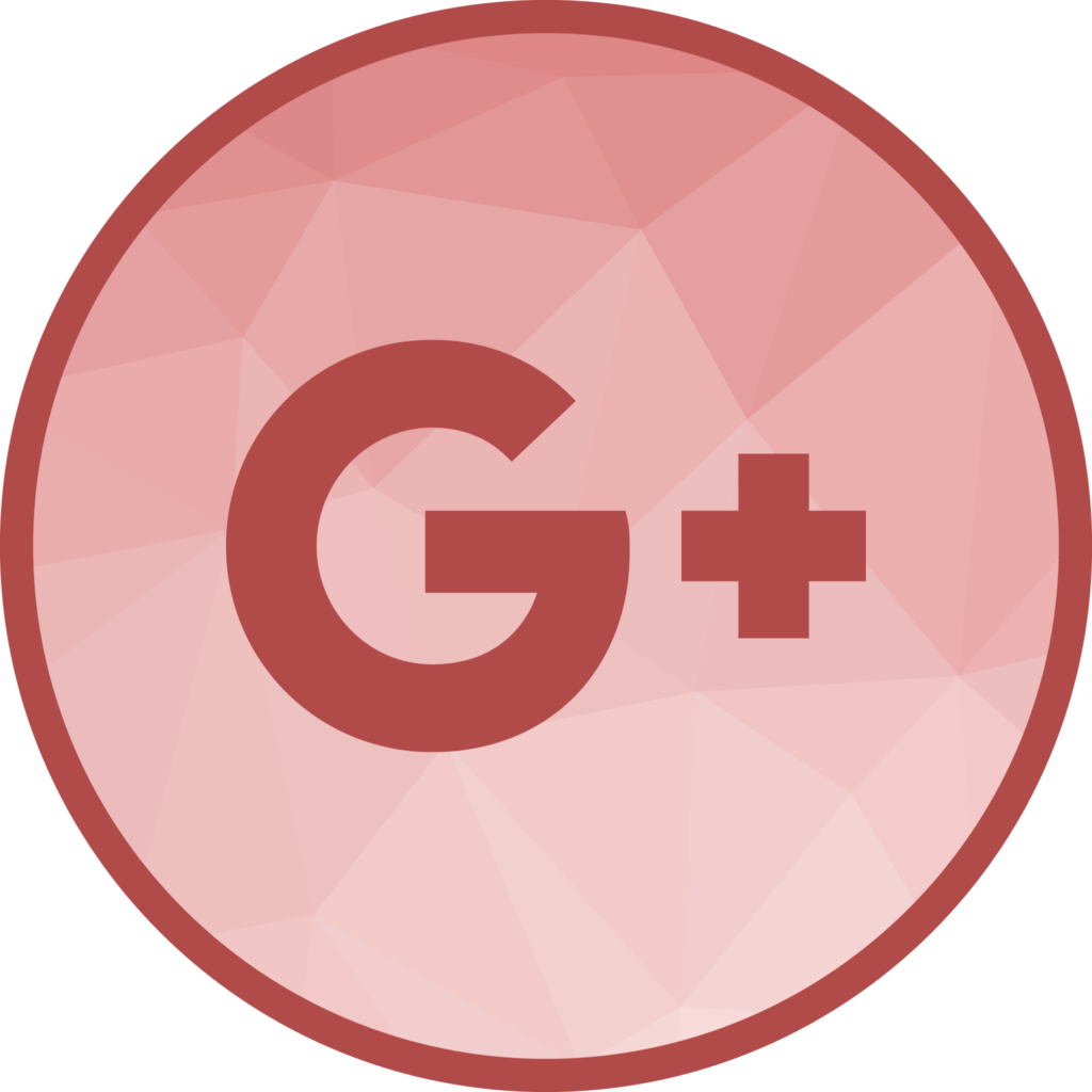 Google + Logo